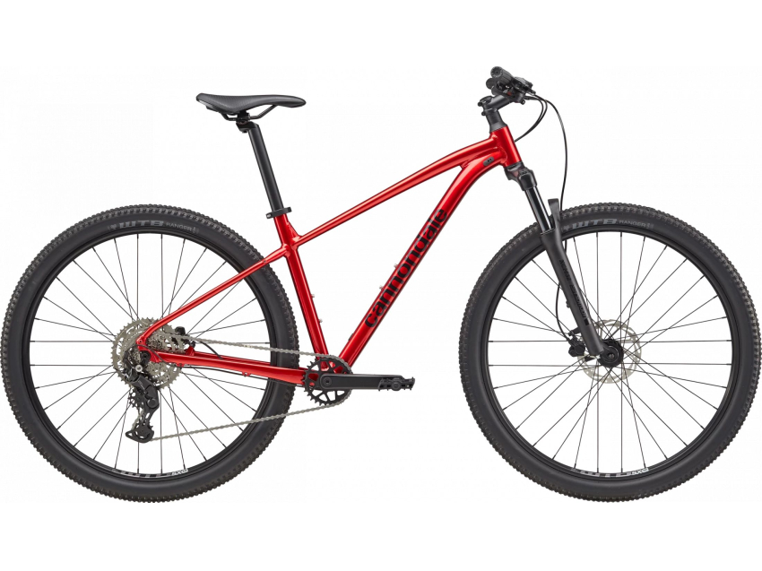 Cannondale Trail 2