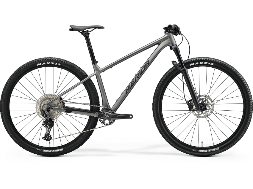 Merida BIG.NINE 700 25