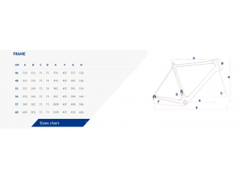 corratec cct team carbon