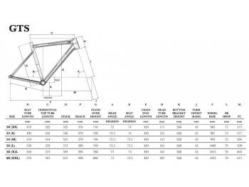 gt men's gts comp road bike